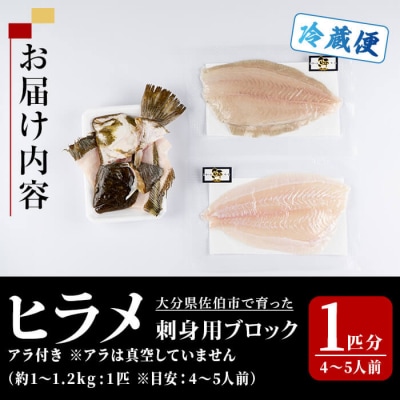  ヒラメ 刺身用 ブロック (1匹分・4-5人前) 
