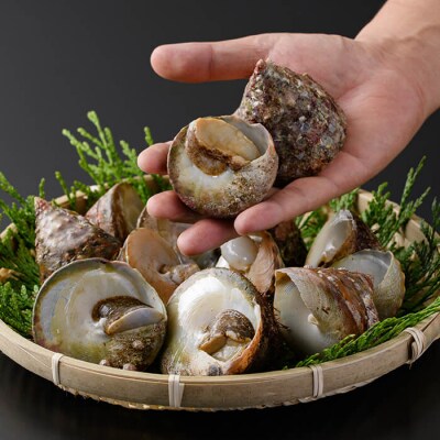 陣笠にな (約1kg)