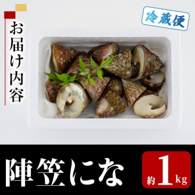 陣笠にな (約1kg)