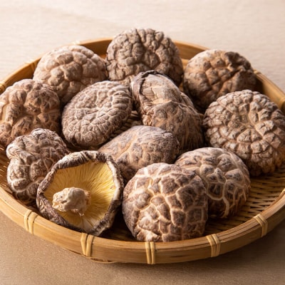 大分県 国東半島産 どんこ椎茸 (計240g・40g×6袋) 