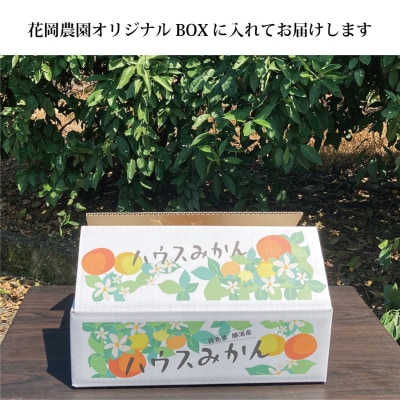 花岡農園 勝浦ハウスみかん SS-Mサイズ 3.5kg(個包装8パック入)