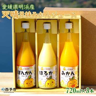 愛媛県明浜産天晴兄妹みかんジュース(温州みかん・ぽんかん・はるか)3種類セット