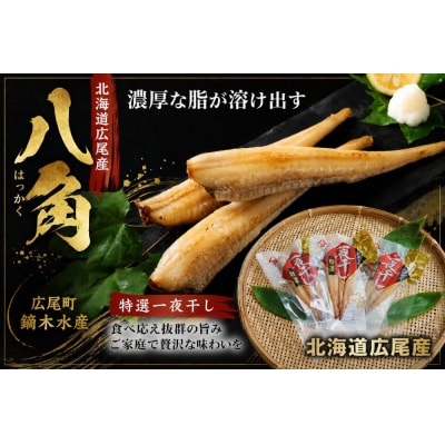 干物専門店かぶらぎ水産の広尾産八角一夜干し18尾セット(J0036)