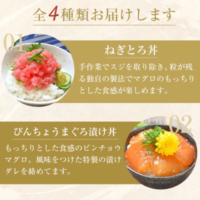 漬け丼 ねぎとろ丼4種 計10食(まぐろ漬け かつお漬け びんちょうまぐろ)【FW002】