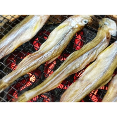 本乾ししゃも　60g×2パック【本ししゃも　珍味　無添加　北海道　国産】(C0038)