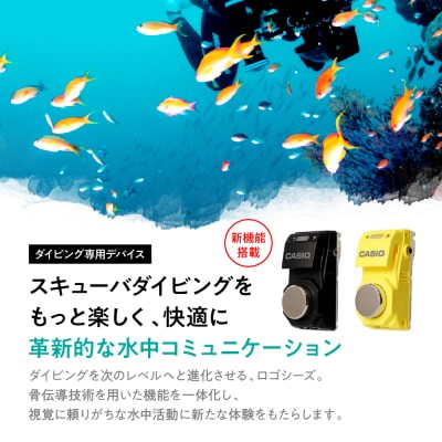 CASIO　ロゴシーズⅡ LGS-RG007*1 (マットブラック) LogoseaseⅡ