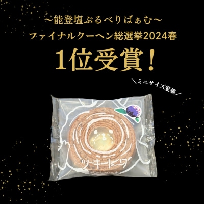 全国バウムクーヘン総選挙1位獲得!能登塩ぶるべりminiばぁむ×8個 バームクーヘン個包装