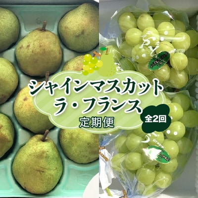 【定期便:全2回】<ご家庭用>シャインマスカット1.5kgとラ・フランス3kg　0049-2602