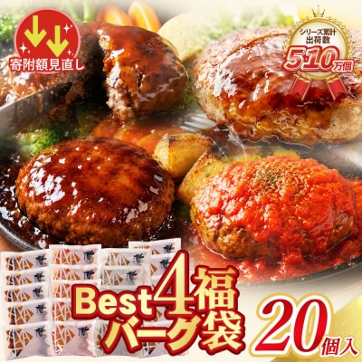 寄附額改定↓↓ Best4バーグ ハンバーグ 20個セット(合挽4種 各5個)