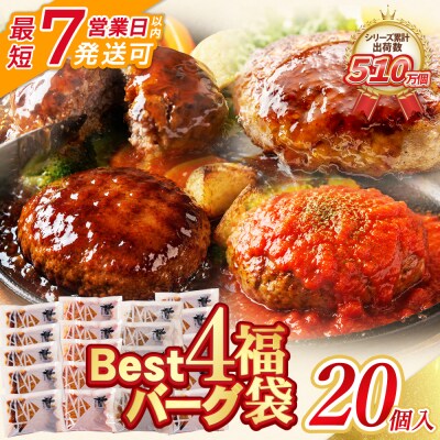 寄附額改定↓↓ 【7営業日以内発送】 Best4バーグ ハンバーグ 20個セット(合挽4種 各5個)
