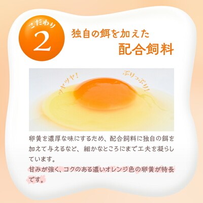 【定期便(3カ月)】小久保ファーム 濃厚卵黄 産みたてたまご 赤玉30個入り(M玉) _EI04