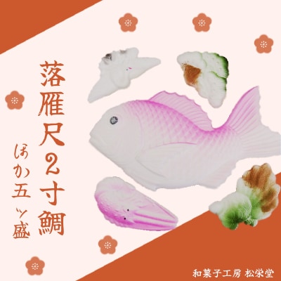 ※落雁尺2寸鯛ほか五ッ盛 らくがん 和菓子工房　松栄堂