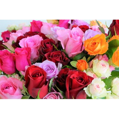 訳あり 生産農家直送!ご家庭用バラ花束35本セット 簡易包装 _AL02