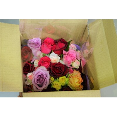 生産農家直送!大輪のバラ花束15本セット | 15本 植物 花 華 お花 フラワー _AL03