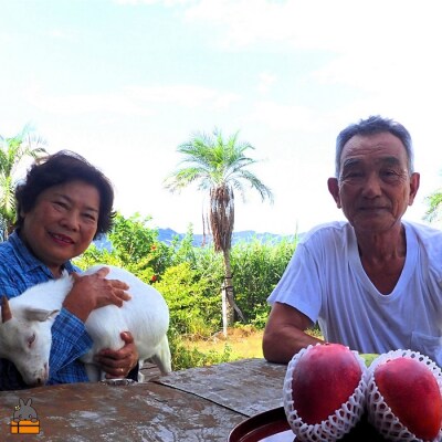 《今が旬!》とくのしま中島農園さんのパッションフルーツ(2kg)
