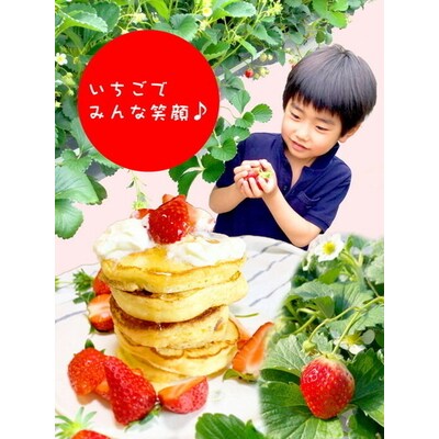 摘みたて!旬のいちご560g(280g×2) ※2026年3月～発送 | いちご 苺 _BI10