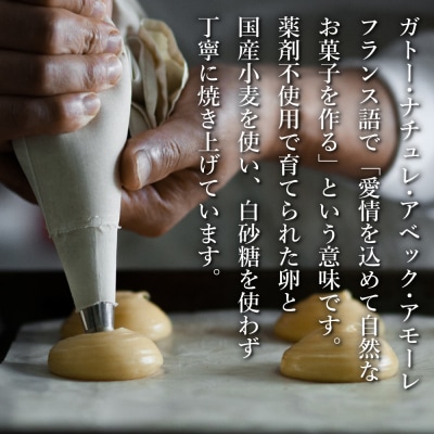 弁天堂 シュークリームセット 8個　ab08020