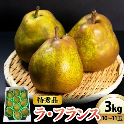 西洋梨(ラ・フランス)3kg　10～11玉　特秀品　0042-2606