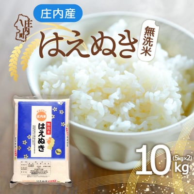 庄内産 はえぬき無洗米 10kg 5kg×2袋 令和7年産 2025年産 ブランド米