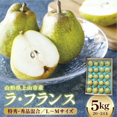 ラ・フランス　5kg　20～24玉　特秀・秀品混合　0042-2610