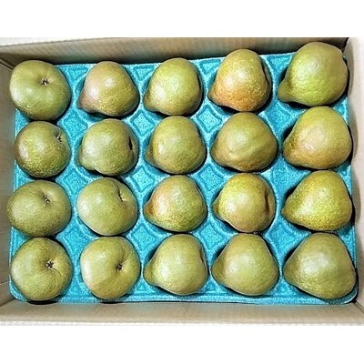 ラ・フランス　5kg　20～24玉　特秀・秀品混合　0042-2610