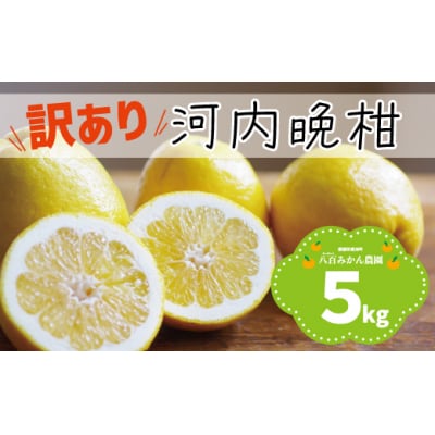 【先行予約:2027年4月上旬～発送】 八百みかん農園 の 訳あり 河内晩柑 5kg