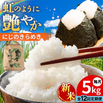 【全12回定期便】 にじのきらめき 白米 5kg [AGR017]
