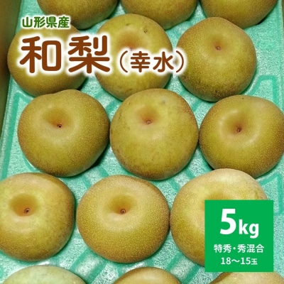 和梨(幸水)5kg　特秀・秀品混合　0042-2601