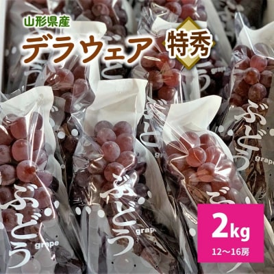 ぶどう(デラウェア)特秀品　0079-2610