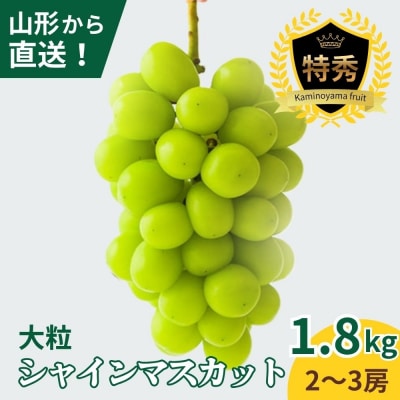 大粒シャインマスカット　2～3房　合計1.8kg以上　特秀品　0079-2615