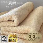 【さとふる限定】エアコットン風綿フェイスタオル33枚セット(伽羅) 泉州こだわり 100F055