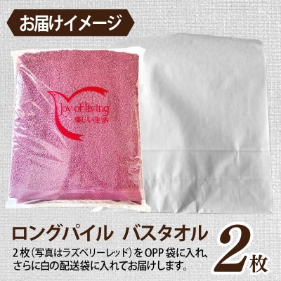ロングパイルバスタオル2枚セット(アースブラウン) 泉州タオル 015B523
