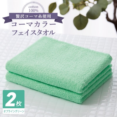 コーマカラーフェイスタオル 2枚(オプライングリーン) 泉州タオル 005A628