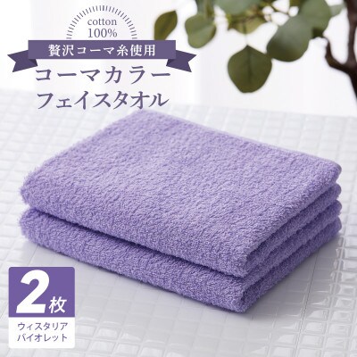 コーマカラーフェイスタオル 2枚(ウィスタリアバイオレット) 泉州タオル 005A635
