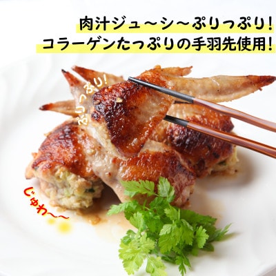 年内発送 手羽先餃子12本入 日本料理屋のお惣菜 さのうまみ鶏 005A449