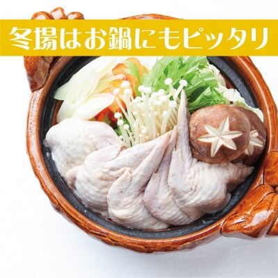年内発送 手羽先餃子20本 日本料理屋のお惣菜 さのうまみ鶏 小分け10本入×2袋 099H3104