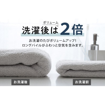 ヒオリエ ホテルタオル バスタオル 2枚 モカ&ホワイト 099H1145