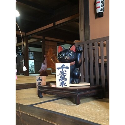 佐野町場散策と名店ランチ(2名様) 099H047