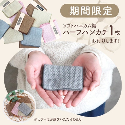 【ソフトハニカム】泉州南部織プレミアムタオル10枚(WH)+期間限定ハーフハンカチ1枚付 G1969