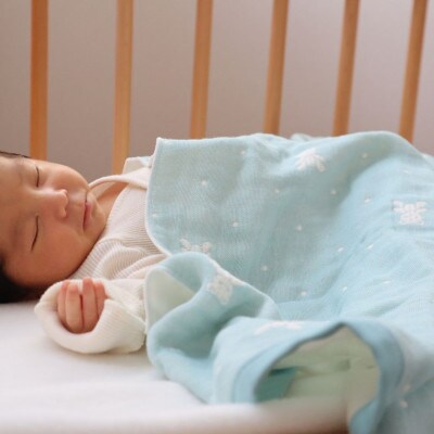 【babybear】泉州南部織/多重ガーゼタオル 4枚セット(ブルー) G1954