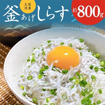 【2025年4月中旬発送】釜揚げしらす 800g 訳あり 家庭用 完全無添加  G861-1