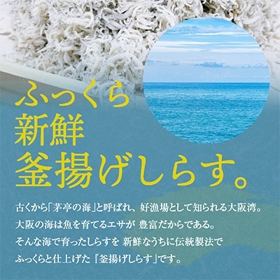 【2025年4月中旬発送】釜揚げしらす 800g 訳あり 家庭用 完全無添加  G861-1