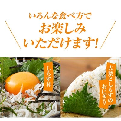 【2025年4月中旬発送】釜揚げしらす 800g 訳あり 家庭用 完全無添加  G861-1
