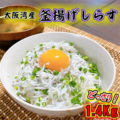 【2023年2月中旬発送】釜揚げしらす 1.4kg 700g×2 訳あり 家庭用 010B436