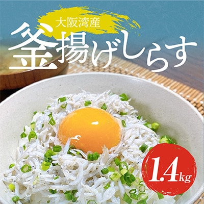釜揚げしらす 1.4kg(700g×2) 訳あり 家庭用 簡易包装 010B436
