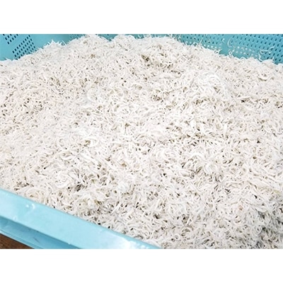 【2023年2月中旬発送】釜揚げしらす 1.4kg 700g×2 訳あり 家庭用 010B436