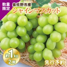 【数量限定】シャインマスカット 約1kg(2房)泉佐野産 099H163