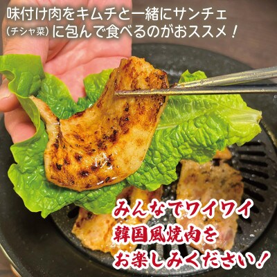 【2025年2月上旬発送】味付きサムギョプサル約1kg(500g×2P)プルコギ風味  G1036