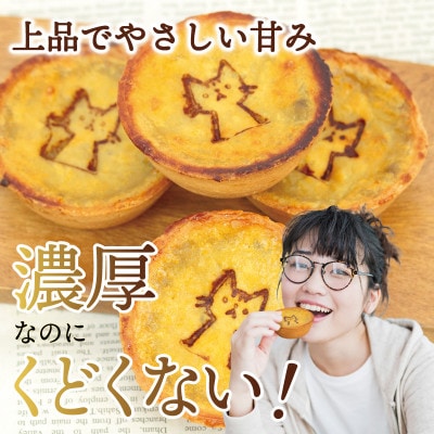 国産紅はるか100%使用 干し芋屋のスイートポテトタルト 099H4535