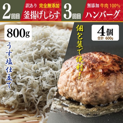【毎月定期便】店主セレクト 食べ比べ いろいろお試し 全4回 099Z289
